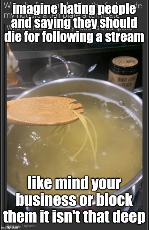 *cought*cat*cough* | imagine hating people and saying they should die for following a stream; like mind your business or block them it isn't that deep | image tagged in who the fuck made who the fuck made my noodle a template a templ | made w/ Imgflip meme maker