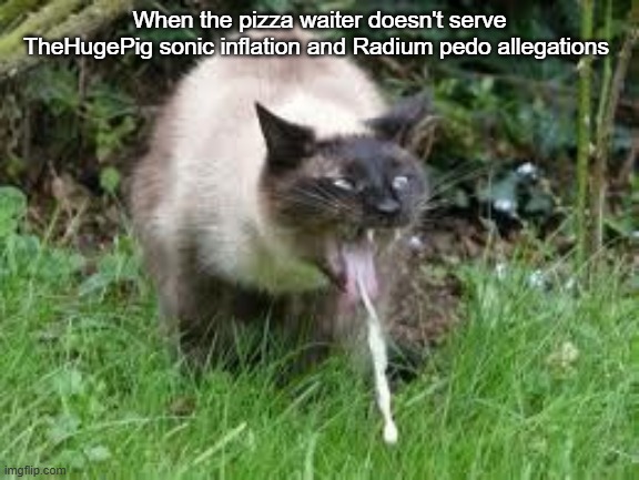 cät | When the pizza waiter doesn't serve TheHugePig sonic inflation and Radium pedo allegations | image tagged in c t | made w/ Imgflip meme maker