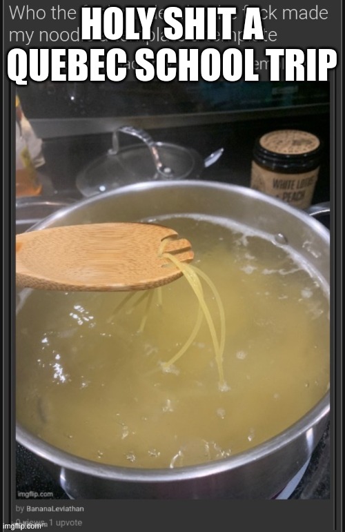 i'll explain later | HOLY SHIT A QUEBEC SCHOOL TRIP | image tagged in who the fuck made who the fuck made my noodle a template a templ | made w/ Imgflip meme maker