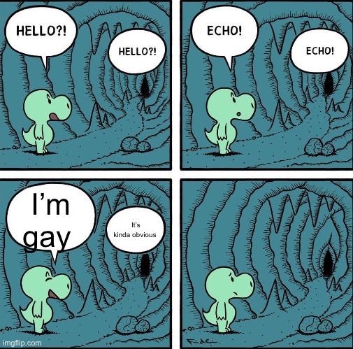 echo | I’m gay; It’s kinda obvious | image tagged in echo | made w/ Imgflip meme maker