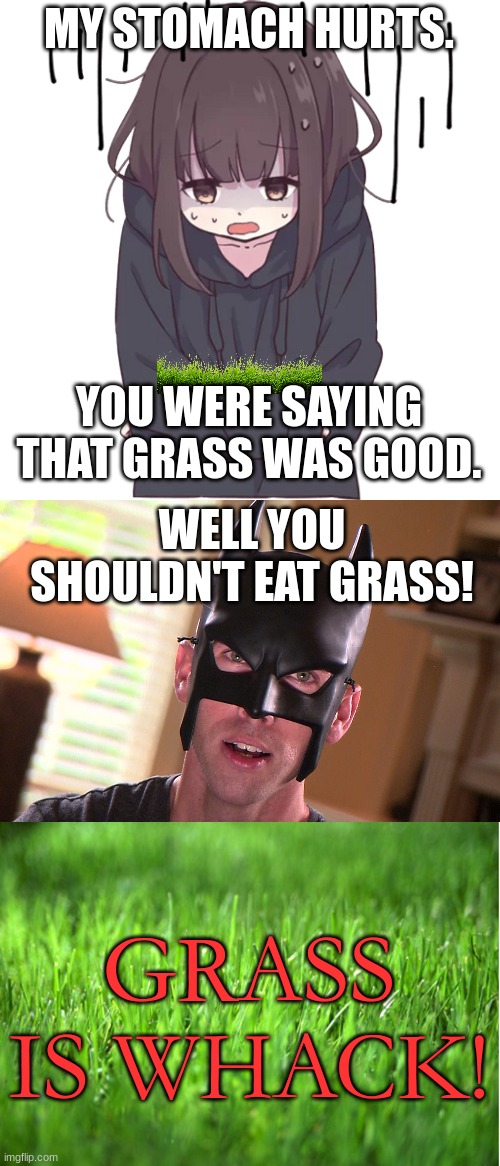 MY STOMACH HURTS. YOU WERE SAYING THAT GRASS WAS GOOD. WELL YOU SHOULDN'T EAT GRASS! GRASS IS WHACK! | image tagged in menhera-chan stomach hurts,batdad,grass is greener | made w/ Imgflip meme maker