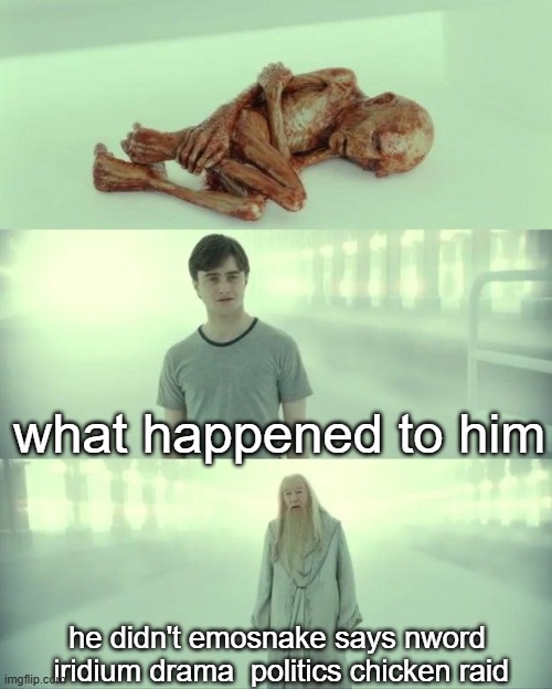 Dead Baby Voldemort / What Happened To Him | what happened to him; he didn't emosnake says nword  iridium drama  politics chicken raid | image tagged in dead baby voldemort / what happened to him | made w/ Imgflip meme maker