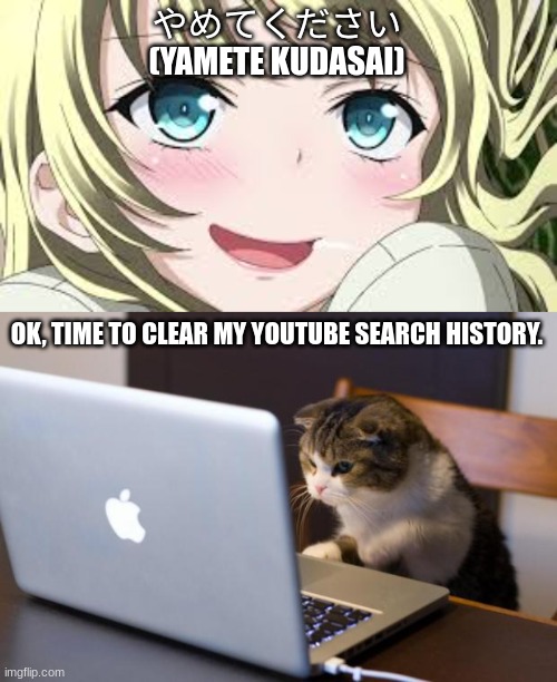 I just can't help myself. | やめてください
(YAMETE KUDASAI); OK, TIME TO CLEAR MY YOUTUBE SEARCH HISTORY. | image tagged in blushing anime,cat using computer | made w/ Imgflip meme maker