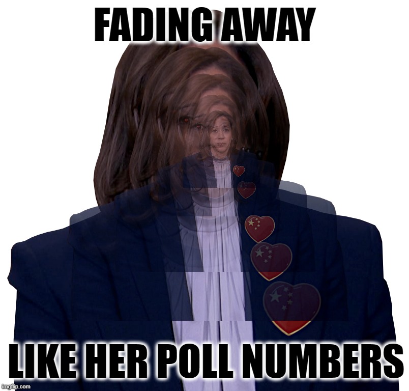 FADING FAST... LIKE HER POLL #'s | FADING AWAY; LIKE HER POLL NUMBERS | image tagged in kamala,sad,harris,border,economy,war | made w/ Imgflip meme maker