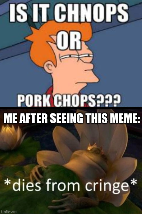 *Also dies of cringe irl* | ME AFTER SEEING THIS MEME: | image tagged in dies of cringe,funny | made w/ Imgflip meme maker