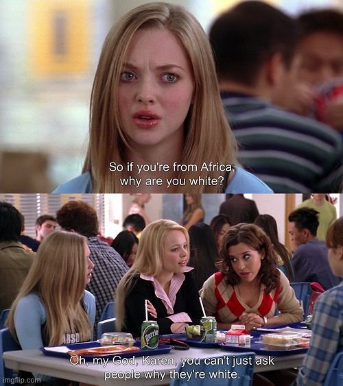 Best mean girls line frfr | image tagged in you can't just ask people why they're white | made w/ Imgflip meme maker