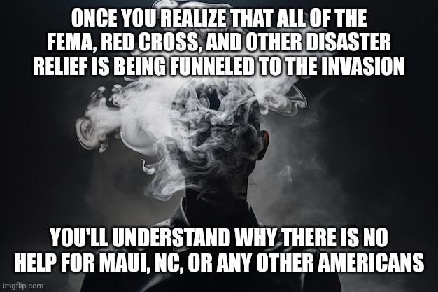 ONCE YOU REALIZE THAT ALL OF THE FEMA, RED CROSS, AND OTHER DISASTER RELIEF IS BEING FUNNELED TO THE INVASION; YOU'LL UNDERSTAND WHY THERE IS NO HELP FOR MAUI, NC, OR ANY OTHER AMERICANS | image tagged in funny memes | made w/ Imgflip meme maker