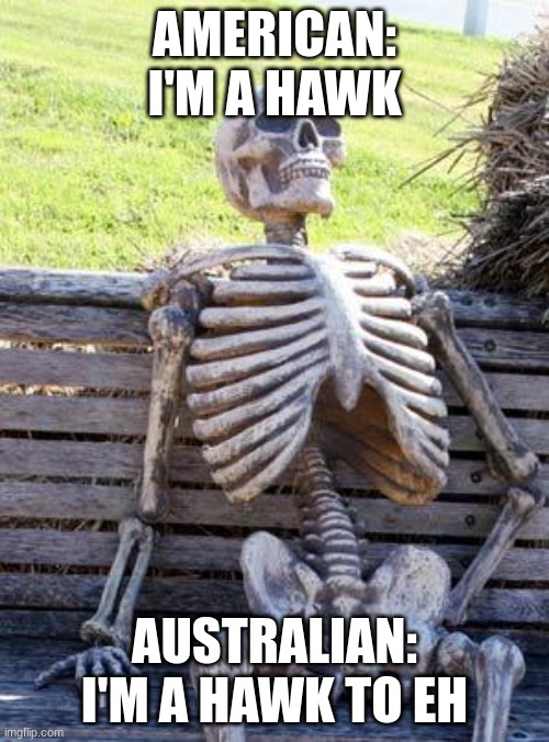Waiting Skeleton | AMERICAN: I'M A HAWK; AUSTRALIAN: I'M A HAWK TO EH | image tagged in memes,waiting skeleton | made w/ Imgflip meme maker