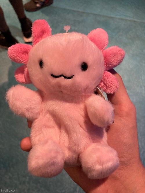 Rate my new plush 1-10 | made w/ Imgflip meme maker