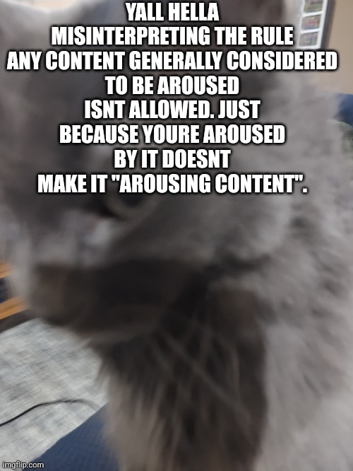 ㅤ | YALL HELLA MISINTERPRETING THE RULE

ANY CONTENT GENERALLY CONSIDERED TO BE AROUSED ISNT ALLOWED. JUST BECAUSE YOURE AROUSED BY IT DOESNT MAKE IT "AROUSING CONTENT". | image tagged in 32's cat | made w/ Imgflip meme maker