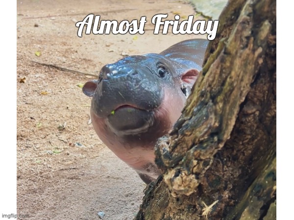 friday | Almost Friday | image tagged in friday | made w/ Imgflip meme maker
