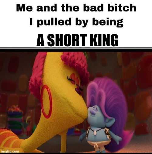 Bruce X Brandy (Trolls: band together) | A SHORT KING | image tagged in me and the bad bitch i pulled | made w/ Imgflip meme maker