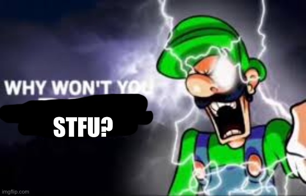 luigi k wodr | STFU? | image tagged in luigi k wodr | made w/ Imgflip meme maker