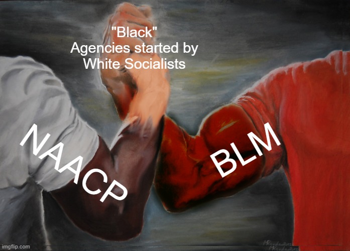 Don't fall for either of them. Embrace America. | "Black" Agencies started by White Socialists; BLM; NAACP | image tagged in epic handshake,memes,politics,race,blm,trump 2024 | made w/ Imgflip meme maker