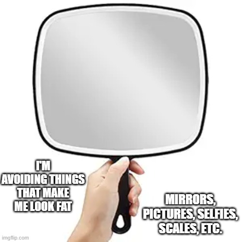 memes by Brad - I'm getting rid of things that make me look fat - humor | I'M AVOIDING THINGS THAT MAKE ME LOOK FAT; MIRRORS, PICTURES, SELFIES, SCALES, ETC. | image tagged in funny,fun,fat,humor,mirror,pictures | made w/ Imgflip meme maker