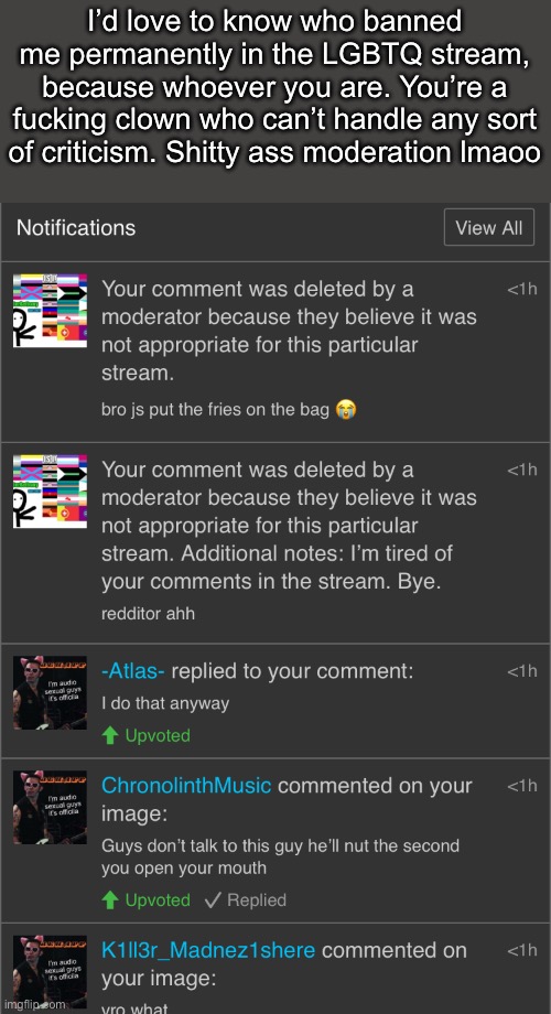 I’d love to know who banned me permanently in the LGBTQ stream, because whoever you are. You’re a fucking clown who can’t handle any sort of criticism. Shitty ass moderation lmaoo | made w/ Imgflip meme maker