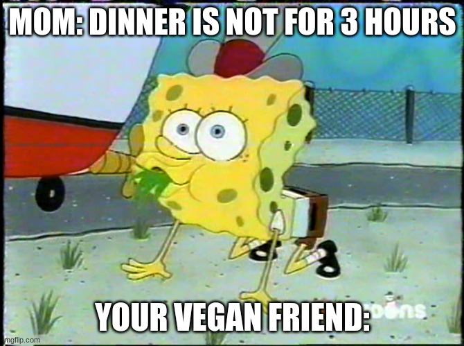 SpongeBob grass eater | MOM: DINNER IS NOT FOR 3 HOURS; YOUR VEGAN FRIEND: | image tagged in grass eater | made w/ Imgflip meme maker