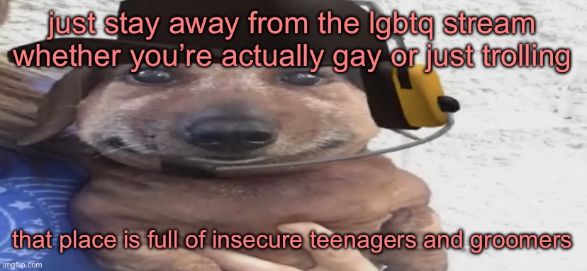 chucklenuts | just stay away from the lgbtq stream whether you’re actually gay or just trolling; that place is full of insecure teenagers and groomers | image tagged in chucklenuts | made w/ Imgflip meme maker