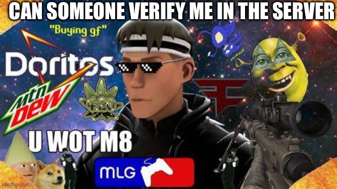 past | CAN SOMEONE VERIFY ME IN THE SERVER | image tagged in past | made w/ Imgflip meme maker