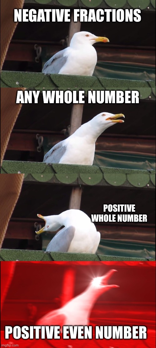 When you get to high school, you will relate. | NEGATIVE FRACTIONS; ANY WHOLE NUMBER; POSITIVE WHOLE NUMBER; POSITIVE EVEN NUMBER | image tagged in memes,inhaling seagull,math | made w/ Imgflip meme maker