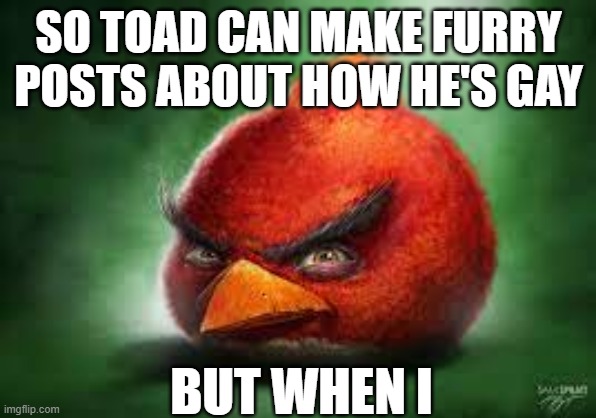 Realistic Red Angry Birds | SO TOAD CAN MAKE FURRY POSTS ABOUT HOW HE'S GAY; BUT WHEN I | image tagged in realistic red angry birds | made w/ Imgflip meme maker