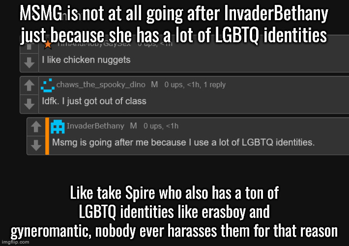 MSMG is not at all going after InvaderBethany just because she has a lot of LGBTQ identities; Like take Spire who also has a ton of LGBTQ identities like erasboy and gyneromantic, nobody ever harasses them for that reason | made w/ Imgflip meme maker