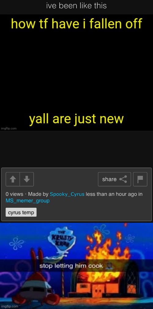 image tagged in stop letting him cook | made w/ Imgflip meme maker