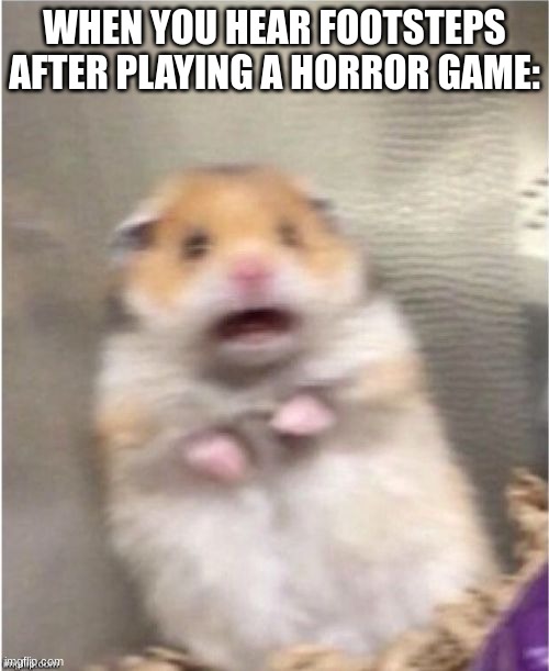 Scared Hamster | WHEN YOU HEAR FOOTSTEPS AFTER PLAYING A HORROR GAME: | image tagged in scared hamster | made w/ Imgflip meme maker