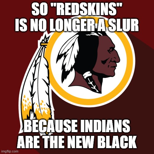 redskins | SO "REDSKINS" IS NO LONGER A SLUR BECAUSE INDIANS ARE THE NEW BLACK | image tagged in redskins | made w/ Imgflip meme maker