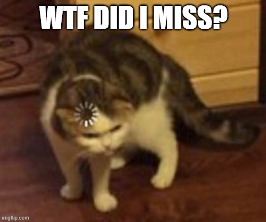 Loading cat | WTF DID I MISS? | image tagged in loading cat | made w/ Imgflip meme maker