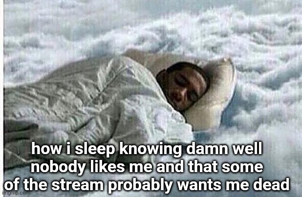 How I Sleep | how i sleep knowing damn well nobody likes me and that some of the stream probably wants me dead | image tagged in how i sleep | made w/ Imgflip meme maker