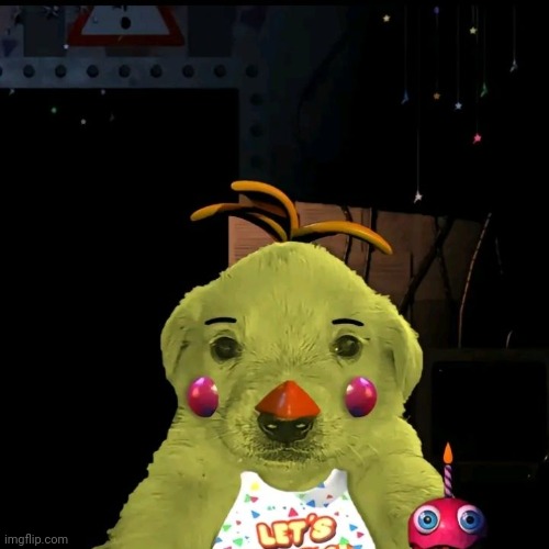 What is this. Toy Chog? | image tagged in fnaf,dog | made w/ Imgflip meme maker