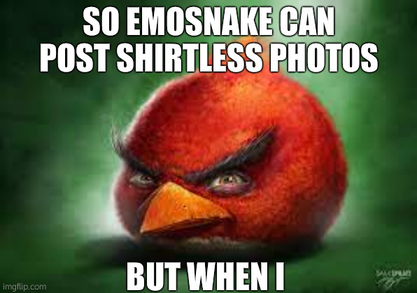 Realistic Red Angry Birds | SO EMOSNAKE CAN POST SHIRTLESS PHOTOS; BUT WHEN I | made w/ Imgflip meme maker