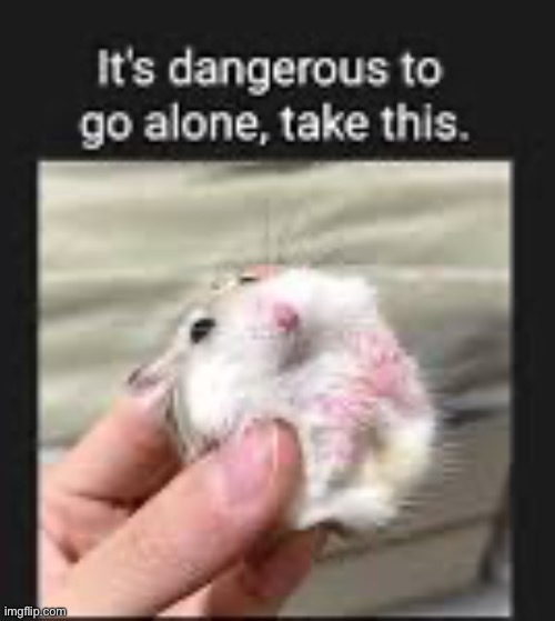 It’s dangerous, take this | made w/ Imgflip meme maker