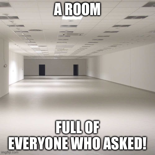 Everyone who asked | A ROOM; FULL OF EVERYONE WHO ASKED! | image tagged in empty room,no one asked,opinion,empty,no one cares | made w/ Imgflip meme maker