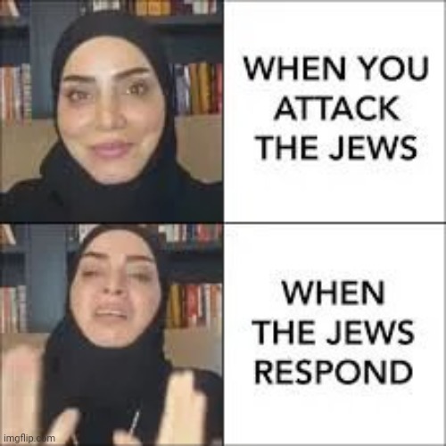 Just like the Democrats , "It's ok when we do it" | image tagged in terrorism,iran so far away,understanding,is this much violence really necessary,anti semitism | made w/ Imgflip meme maker