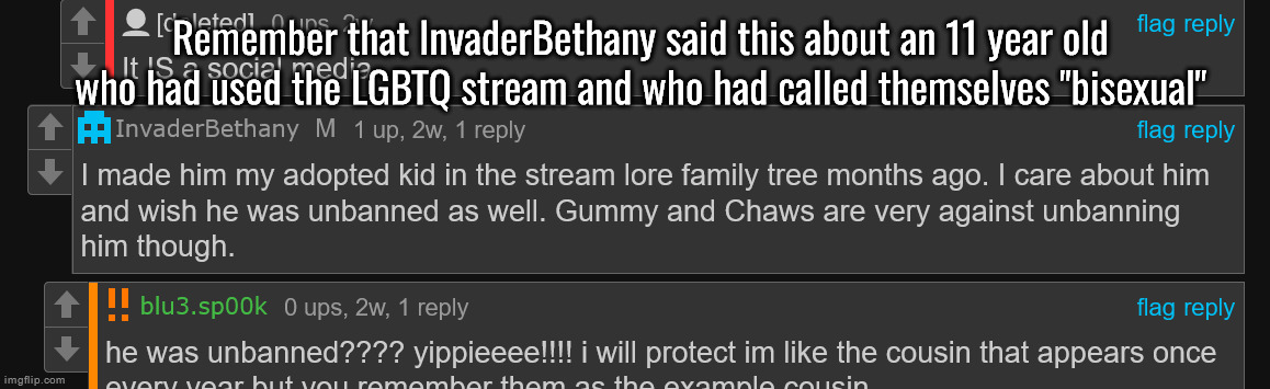 the age gap there was 16 at minimum | Remember that InvaderBethany said this about an 11 year old who had used the LGBTQ stream and who had called themselves "bisexual" | made w/ Imgflip meme maker