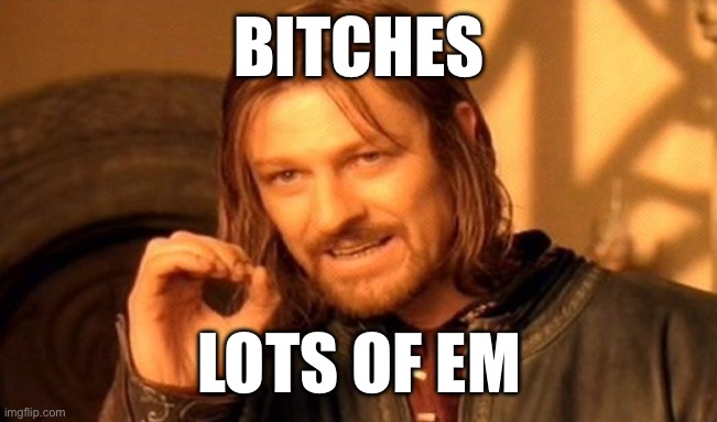 What do I want? | BITCHES; LOTS OF EM | image tagged in memes,one does not simply | made w/ Imgflip meme maker