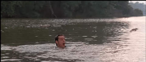 Jim Carrey Alligator Blank Meme Template