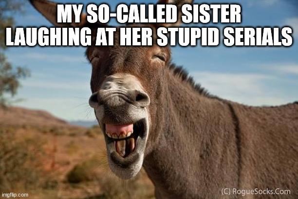 Donkey Jackass Braying | MY SO-CALLED SISTER LAUGHING AT HER STUPID SERIALS | image tagged in donkey jackass braying | made w/ Imgflip meme maker