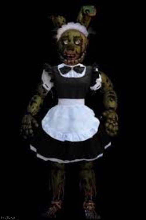 Springtrap in a maids dress | image tagged in springtrap in a maids dress | made w/ Imgflip meme maker