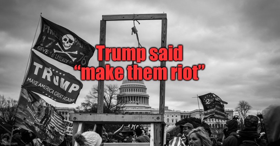 Capitol Hill riot gallows | Trump said “make them riot” | image tagged in capitol hill riot gallows | made w/ Imgflip meme maker