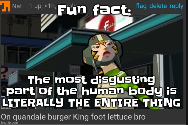 On quandale burger King foot lettuce bro | Fu​​n fact:; The most disgusting part of the human body is LITERALLY THE ENTIRE THING | image tagged in on quandale burger king foot lettuce bro | made w/ Imgflip meme maker