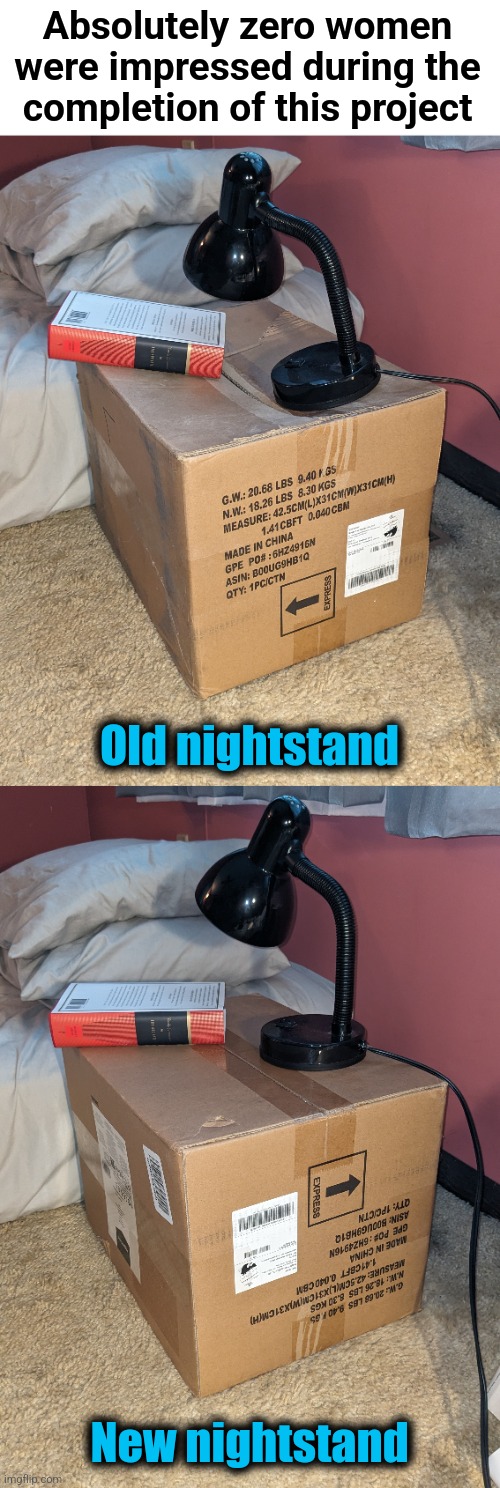 Zero.  Absolutely zero. | Absolutely zero women were impressed during the
completion of this project; Old nightstand; New nightstand | image tagged in memes,nightstand,box,flipped it over,zero women impressed | made w/ Imgflip meme maker