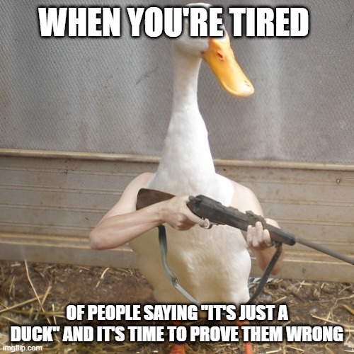 it's just a duck | WHEN YOU'RE TIRED; OF PEOPLE SAYING "IT'S JUST A DUCK" AND IT'S TIME TO PROVE THEM WRONG | image tagged in memes | made w/ Imgflip meme maker