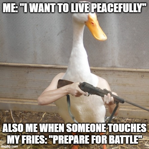 Prepare for battle | ME: "I WANT TO LIVE PEACEFULLY"; ALSO ME WHEN SOMEONE TOUCHES MY FRIES: "PREPARE FOR BATTLE" | image tagged in memes | made w/ Imgflip meme maker