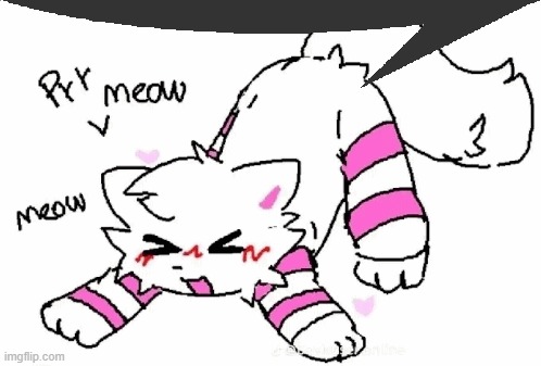 my sanity dwindles | made w/ Imgflip meme maker