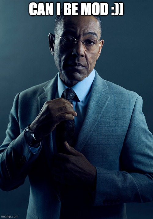 sfgrg | CAN I BE MOD :)) | image tagged in gus fring we are not the same | made w/ Imgflip meme maker