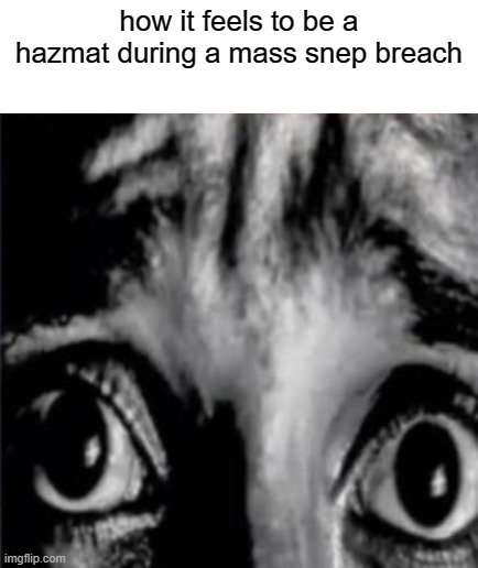 hazmat's disinfectant sprayers dont do shit to them | how it feels to be a hazmat during a mass snep breach | image tagged in mfw when the fog finally arrives lmao | made w/ Imgflip meme maker