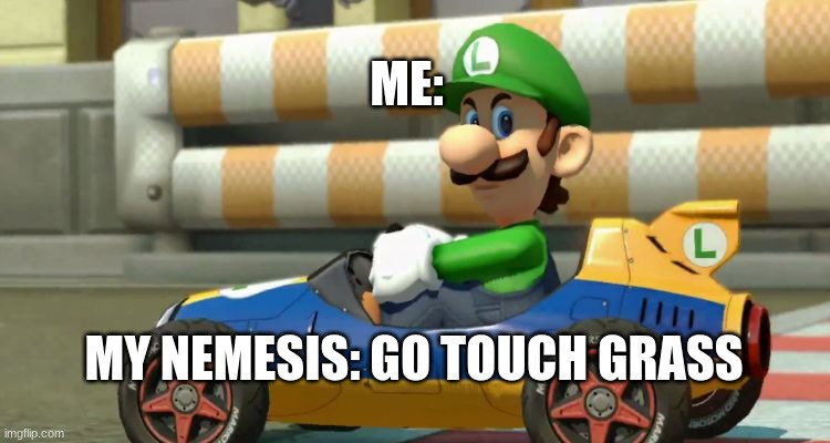 touch grass | ME:; MY NEMESIS: GO TOUCH GRASS | image tagged in luigi death stare | made w/ Imgflip meme maker